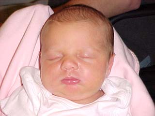 bayvin1_09