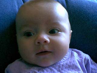 bayvin_closeup_03