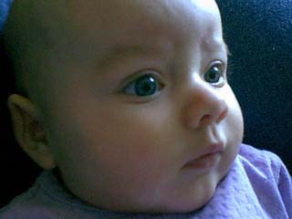bayvin_closeup_06