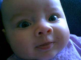 bayvin_closeup_07