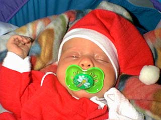 bayvins_first_sm_01