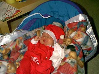 bayvins_first_sm_05