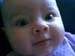 bayvin_closeup_07