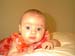 bayvin_tropical_01
