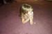 Picture 030